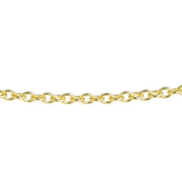 Ernstes Design Halskette - Edelstahl gold - Ankerkette Ø 2,5mm / AK13